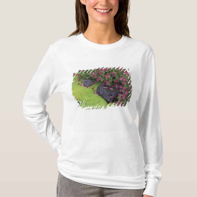Camiseta Norteamérica, EE. UU., Washington, Mt. Rainier (Anverso)