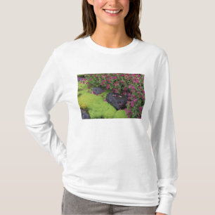 Camiseta Norteamérica, EE. UU., Washington, Mt. Rainier