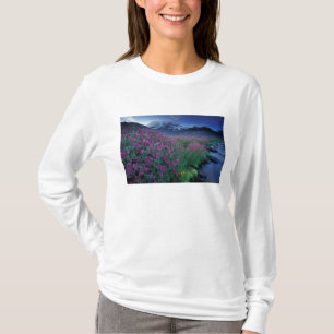 Camiseta Norteamérica, EE. UU., Washington, Mt. Rainier 6