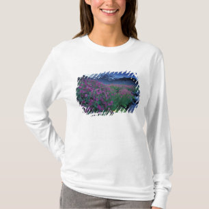 Camiseta Norteamérica, EE. UU., Washington, Mt. Rainier 6