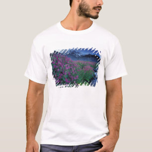 Camiseta Norteamérica, EE. UU., Washington, Mt. Rainier 6