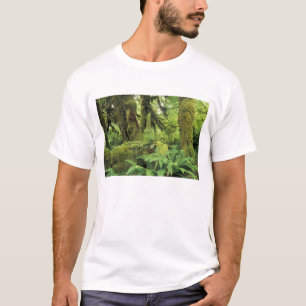 Camiseta Norteamérica, EE. UU., Washington, Olímpico 3