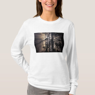 Camiseta Norteamérica, EE. UU., Washington, Olympic NF,