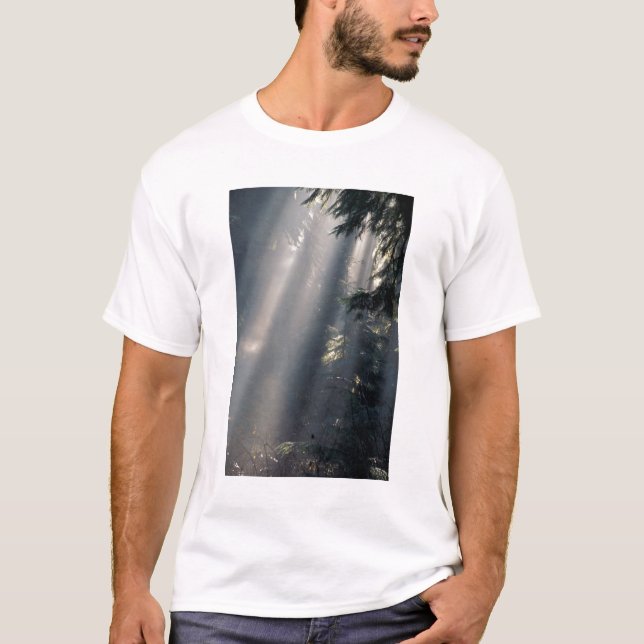 Camiseta Norteamérica, EE. UU., Washington, Parque Nacional (Anverso)