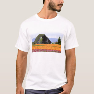 Camiseta Norteamérica, EE. UU., Washington, Valle de Skagit