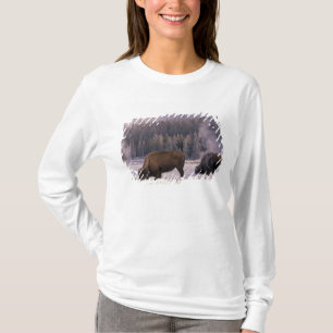 Camiseta Norteamérica, EE. UU., Wyoming, Parque Nacional Ye