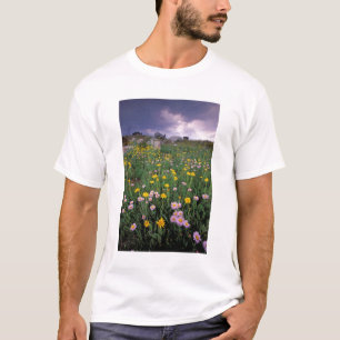 Camiseta Norteamérica, EE. UU., Wyoming, Yellowstone 2