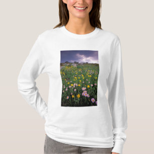 Camiseta Norteamérica, EE. UU., Wyoming, Yellowstone 2