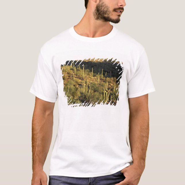 Camiseta Norteamérica, Estados Unidos, Arizona, desierto de (Anverso)