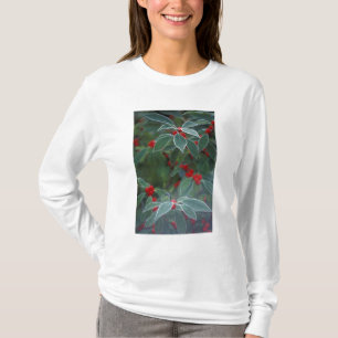 Camiseta Norteamérica, Estados Unidos, Nueva Inglaterra. Ac