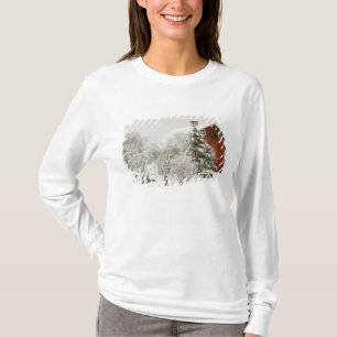 Camiseta Norteamérica, los E.E.U.U., WA, isla de Whidbey