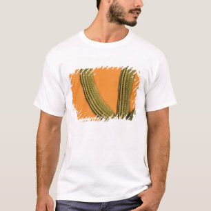 Camiseta Norteamérica, México, Baja California, Cabo