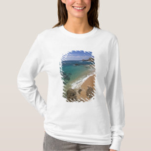 Camiseta Norteamérica, México, Baja California Sur,