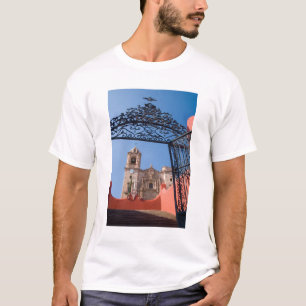 Camiseta Norteamérica, México, Estado de Guanajuato. La