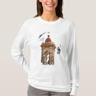 Camiseta Norteamérica, México, estado de Guanajuato, San 5