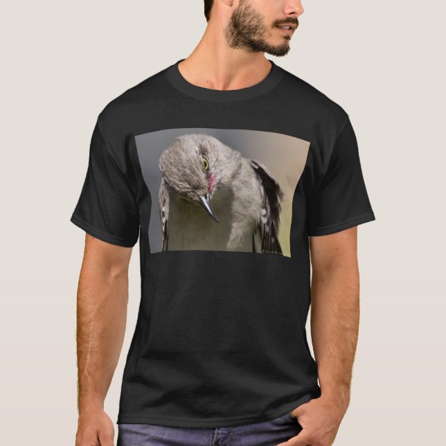 Camiseta Northern Mockingbird toma ropa de vaca y regalos (Anverso)
