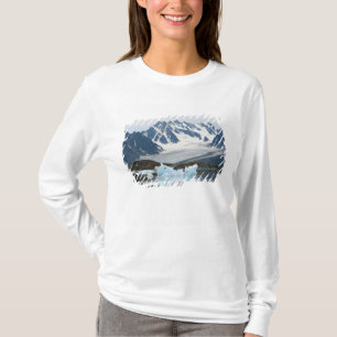 Camiseta Noruega, glaciar en retroceso e iceberg