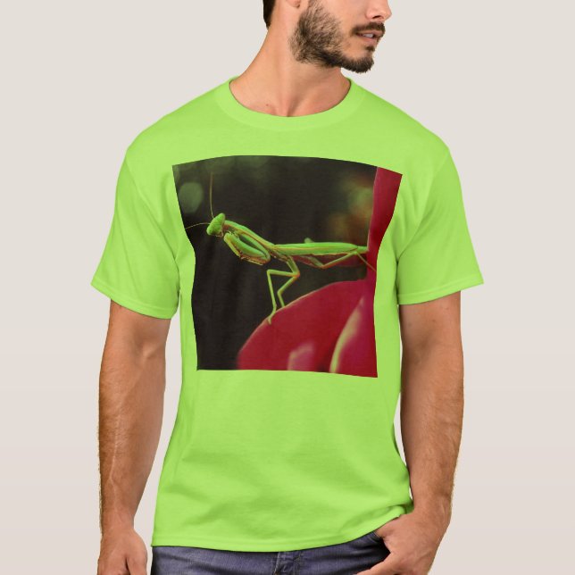 Camiseta ¿Nos han presentado? (Anverso)