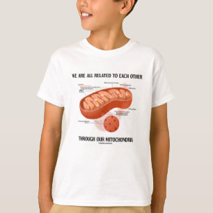 Camiseta Nos todos relacionan a través de las mitocondrias