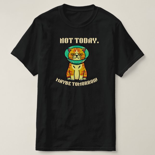 Camiseta Not Today Maybe Tomorrow Funny Grumpy Cat Design (Diseño del anverso)