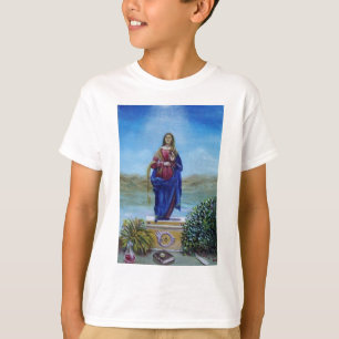 CAMISETA NUESTRA SEÑORA DE LUZ