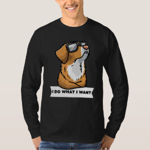 Camiseta Nueva Escocia: Perro Tolero con Sungla