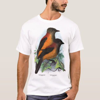 Camiseta Nueva Guinea: Dos especies Pitohui