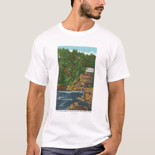 Camiseta Nueva opinión del puente de Hwy del estado del (Anverso)