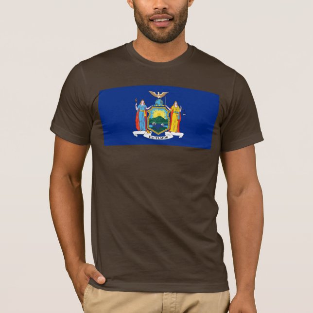 Camiseta Nueva York: El Estado Imperio, casa de bandera gra (Anverso)