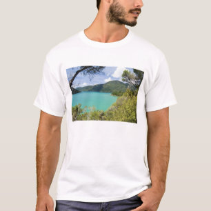 Camiseta Nueva Zelanda, Isla Sur, Marlborough Sounds.