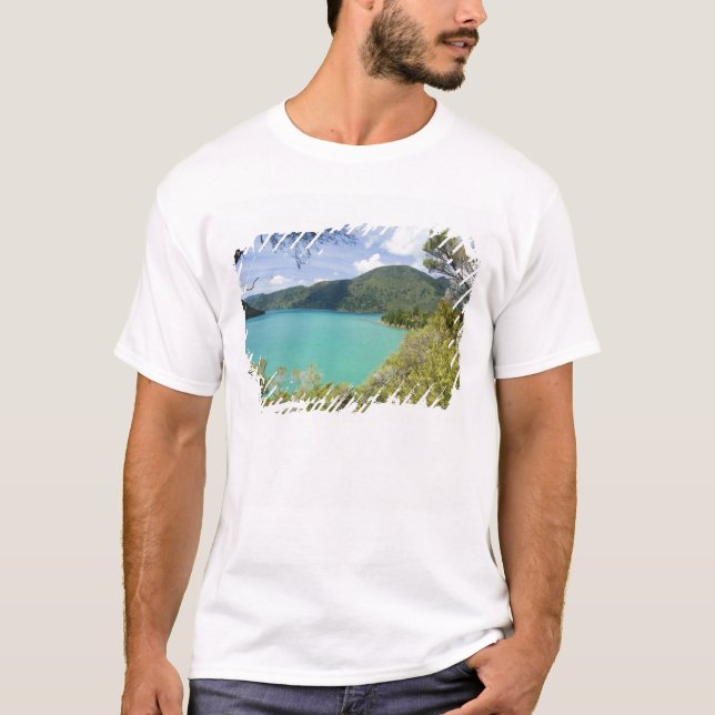 Camiseta Nueva Zelanda, Isla Sur, Marlborough Sounds. (Anverso)