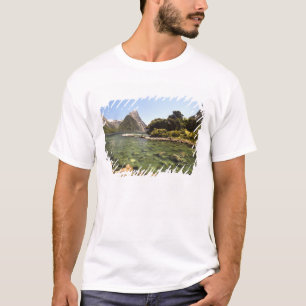 Camiseta Nueva Zelanda, Mitre Peak y río Bowen entrando