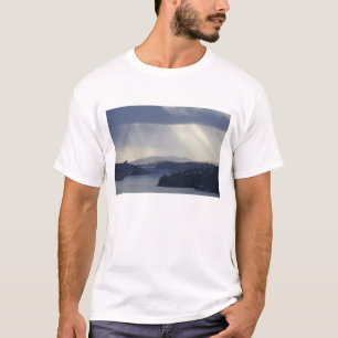 Camiseta Nueva Zelanda, Otago, Dunedin, Ejes de luz sobre