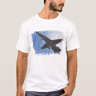 Camiseta Nueva Zelanda, Otago, Wanaka, aves de guerra