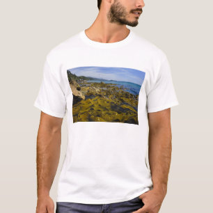 Camiseta Nueva Zelanda, Southland, Isla Stewart. Kelp