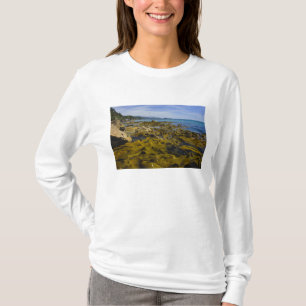 Camiseta Nueva Zelanda, Southland, Isla Stewart. Kelp