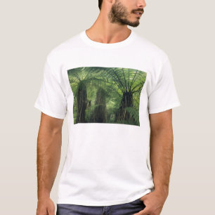 Camiseta Nueva Zelanda, Valle de Haast, Westland, Helecho Á
