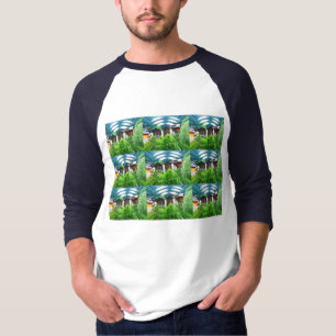 Camiseta Nueve momentos alpinos
