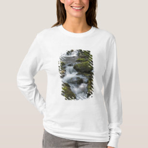Camiseta Nuevo Brunswick, Canadá. Dickson Falls en Fundy