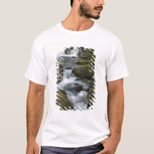 Camiseta Nuevo Brunswick, Canadá. Dickson Falls en Fundy