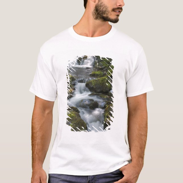 Camiseta Nuevo Brunswick, Canadá. Dickson Falls en Fundy (Anverso)