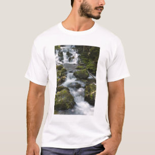 Camiseta Nuevo Brunswick, Canadá. Dickson Falls en Fundy