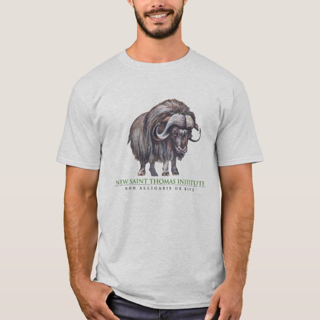 Camiseta Nuevo instituto de Santo Tomás (Anverso)