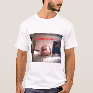 Camiseta ¡numanuma, Numa Numa!