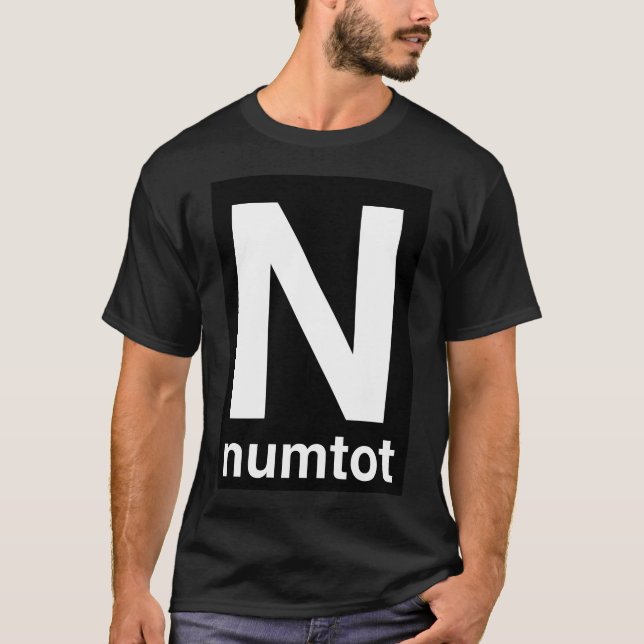 Camiseta Numtot Transit (Anverso)