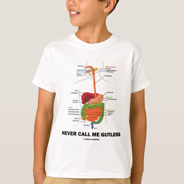 Camiseta Nunca Me Llame Guless (Humor Del Sistema Digestivo (Anverso)