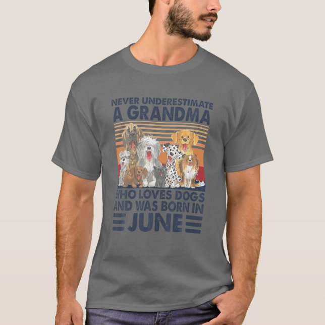 Camiseta Nunca Subestimes A Una Abuela Que Ama A Los Perros (Anverso)