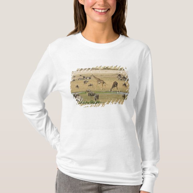 Camiseta Ñus, Cebras y Jirafas (Anverso)