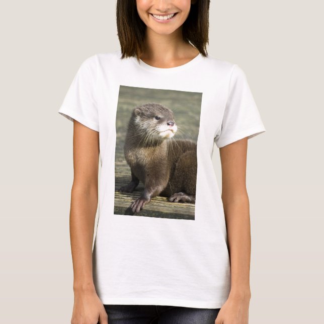Camiseta Nutria linda del bebé (Anverso)