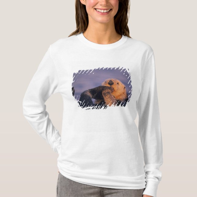 Camiseta Nutria marina, Enhydra lutris (Anverso)
